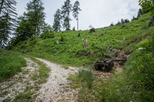 Wanderung: Steinbach - Ybbstalerhütte