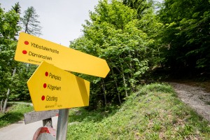 Wanderung: Steinbach - Ybbstalerhütte