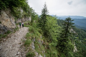 Wanderung: Steinbach - Ybbstalerhütte | In der Höll