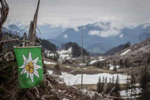 Alpenverein - Fassdaubenlauf 2015 - Ybbstalerhütte