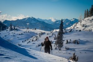 Skitour Ybbstalerhütte